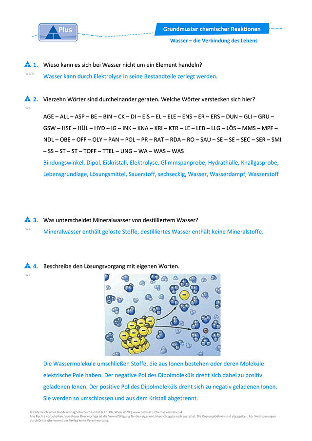 Wasser – die Verbindung des Lebens