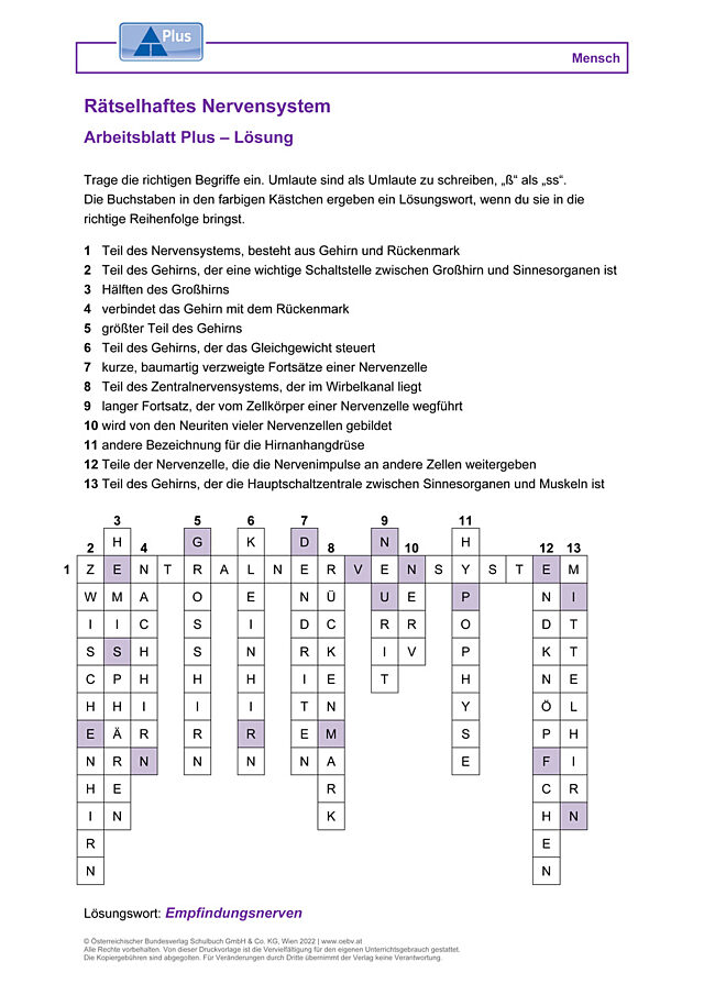 Rätselhaftes Nervensystem