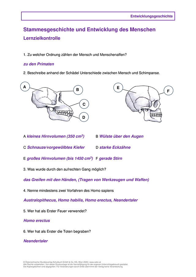 Stammesgeschichte und Entwicklung des Menschen
