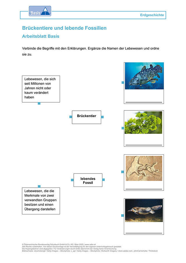 Brückentiere und lebende Fossilien