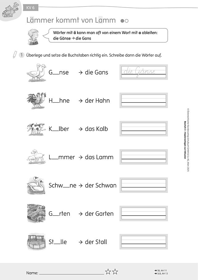 Lämmer kommt von Lamm