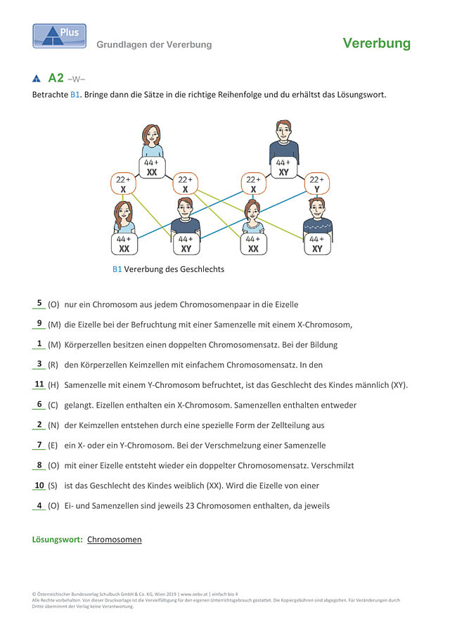 Grundlagen der Vererbung