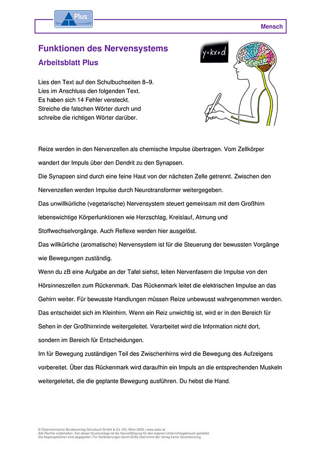 Das Nervensystem und seine Funktionen