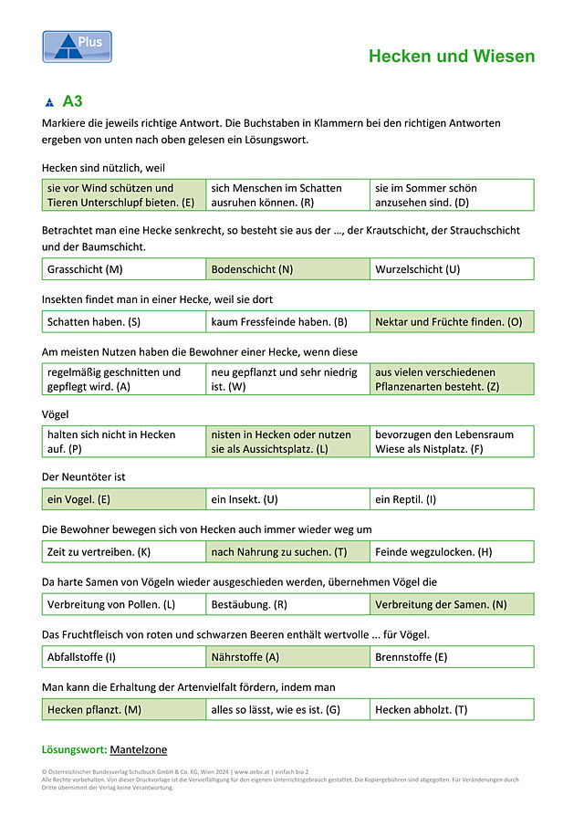 Hecke Quiz