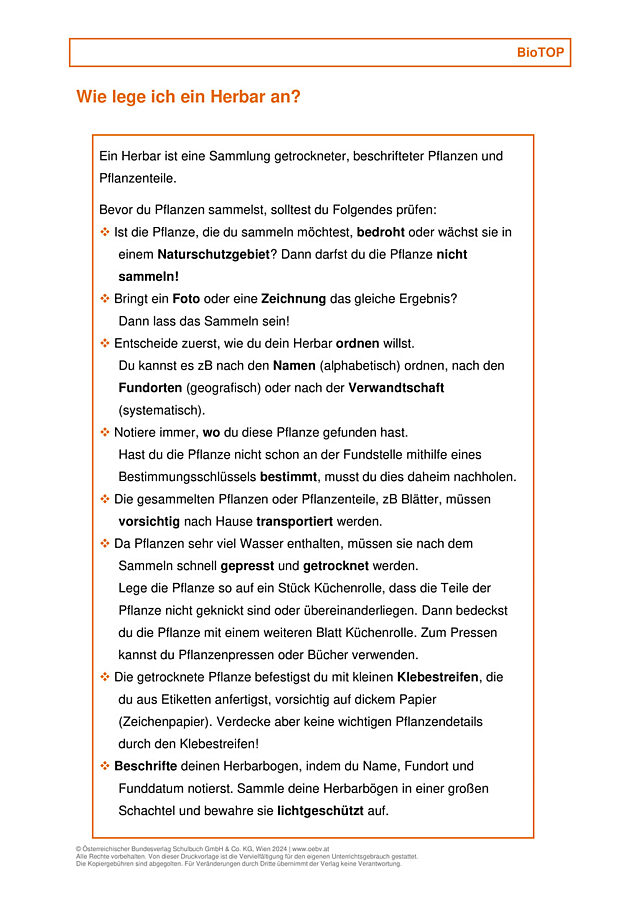 Anlegen eines Herbars
