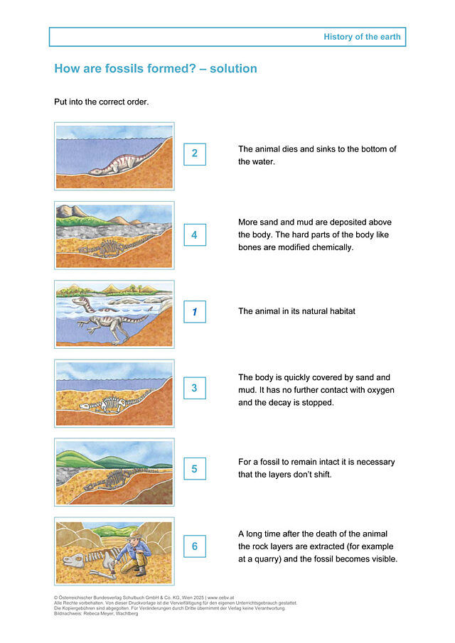 How are fossils formed?