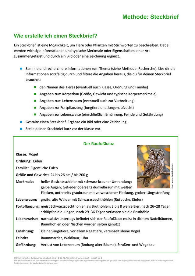 Methode: Steckbrief