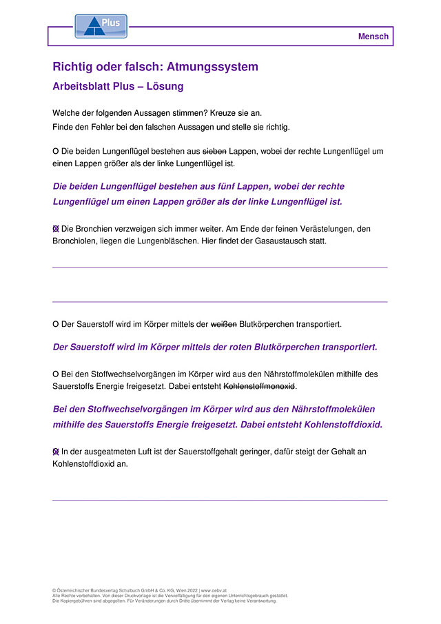 Richtig oder falsch: Atmungssystem
