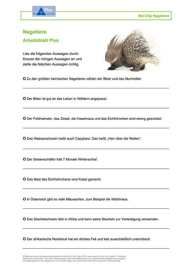 Nagetiere
