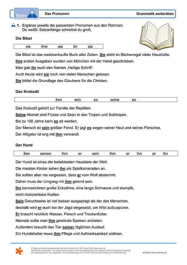 Das Pronomen