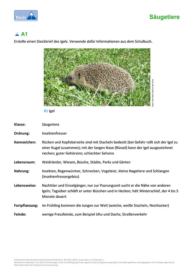 Igel