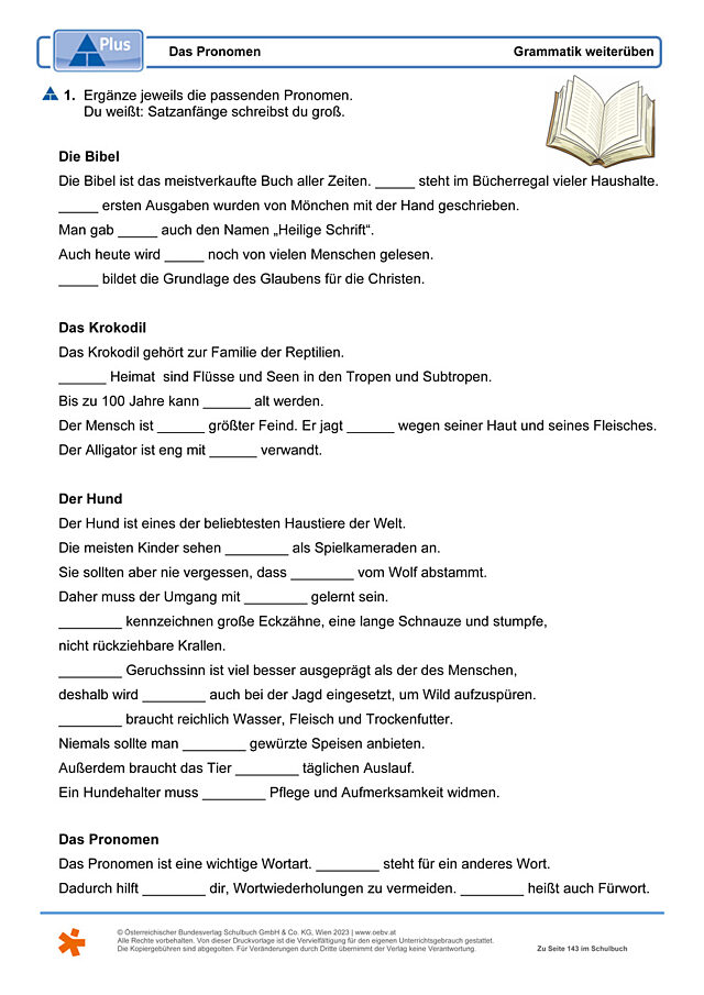 Das Pronomen