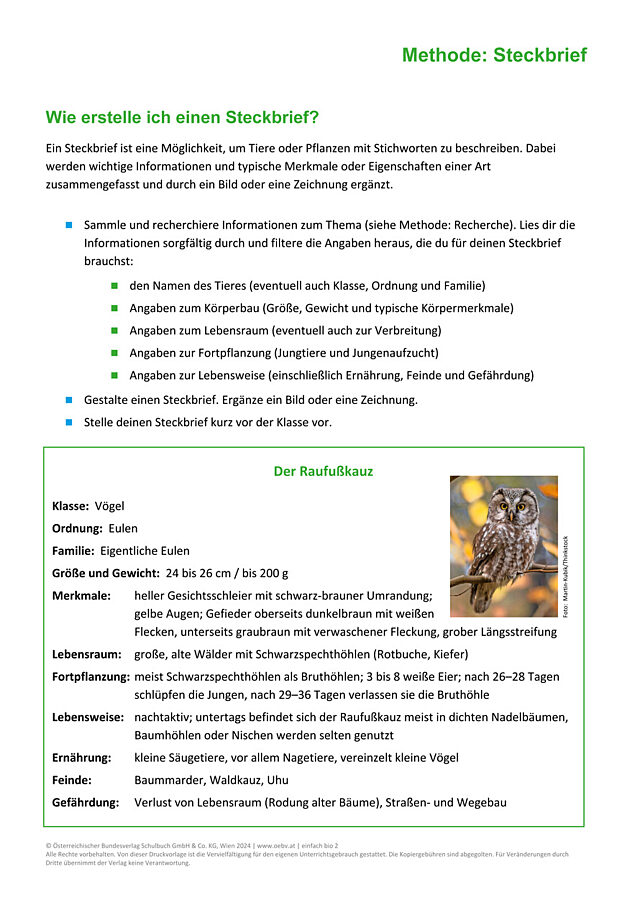 Methode: Steckbrief