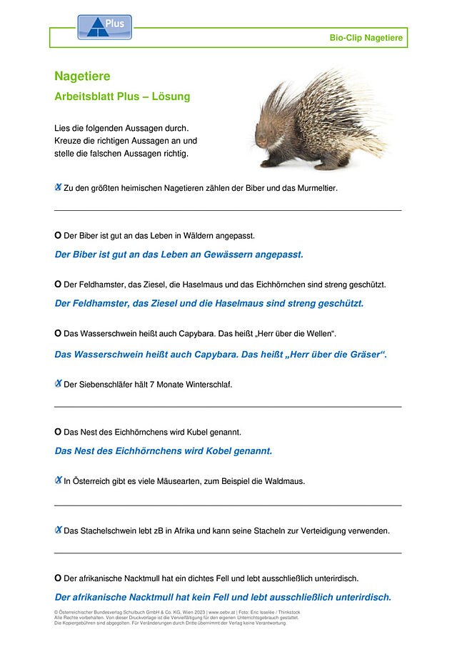 Nagetiere