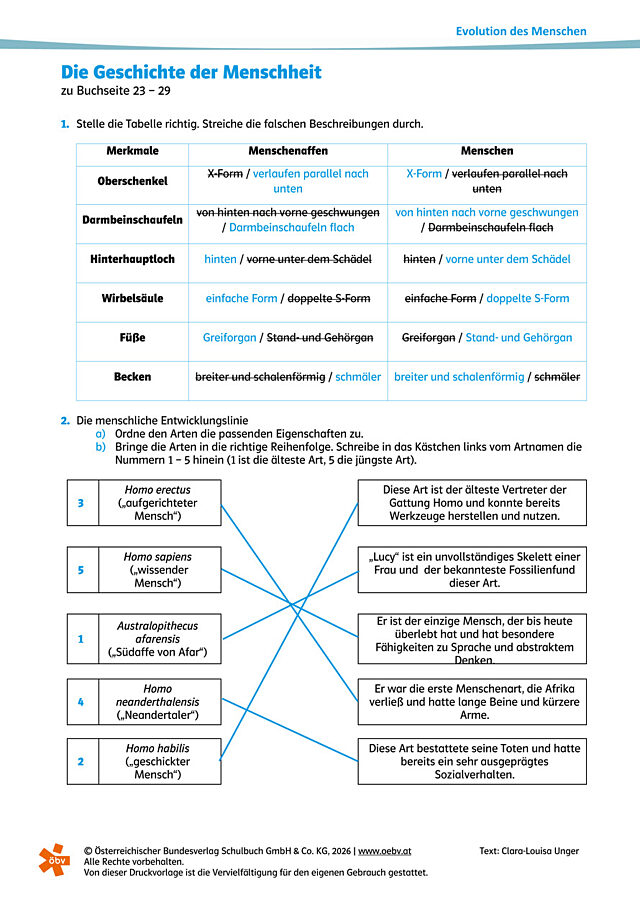 Evolution - Geschichte der Menschheit (Lösung)