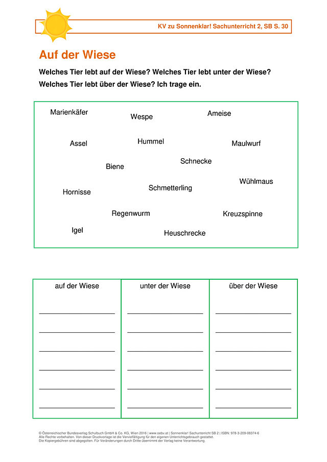Auf der Wiese 1