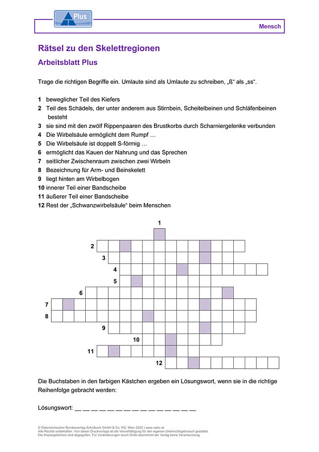 Rätsel zu den Skelettregionen