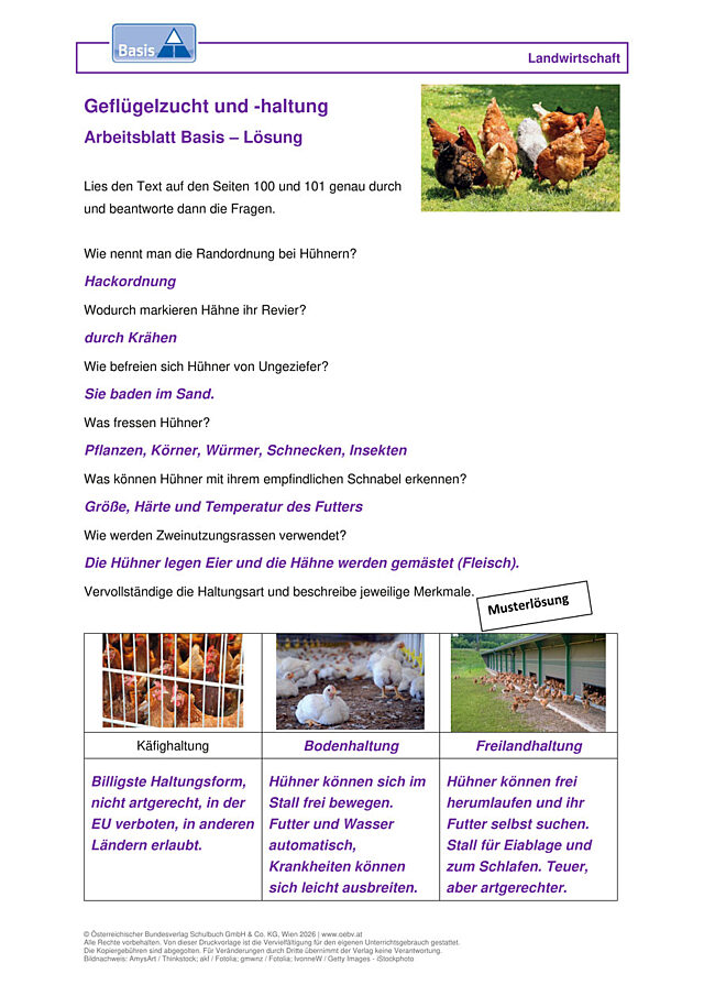 Geflügelzucht und -haltung