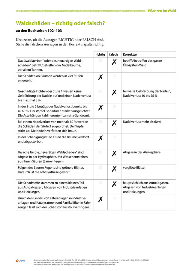 Waldschäden - richtig oder falsch?