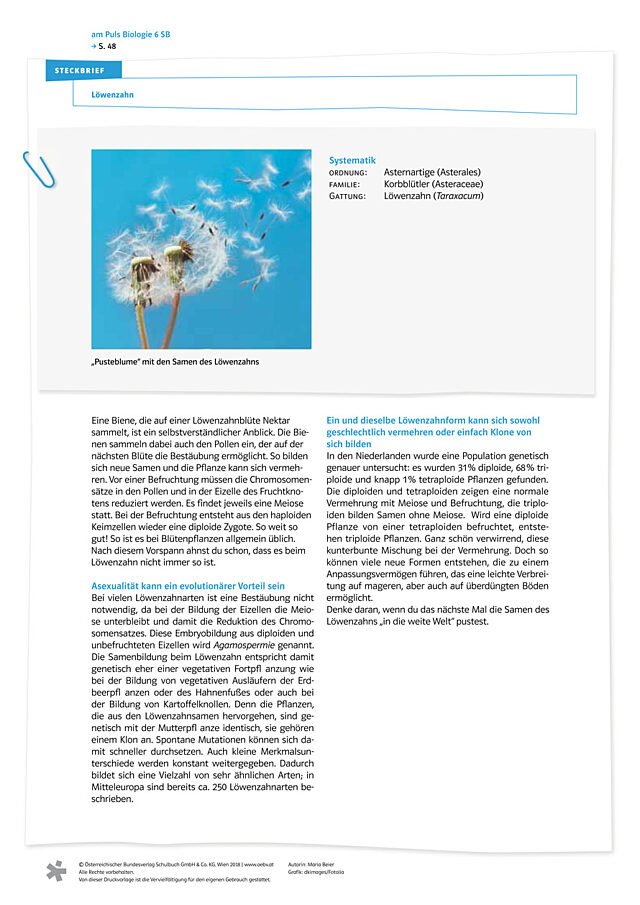 Löwenzahn - Steckbrief