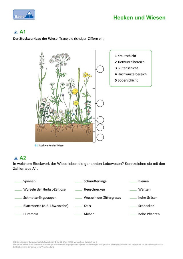 Wiese Stockwerkbau