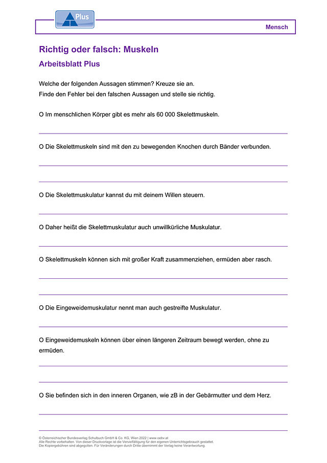 Richtig oder falsch: Muskeln