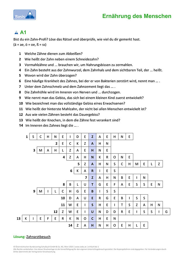 Zähne