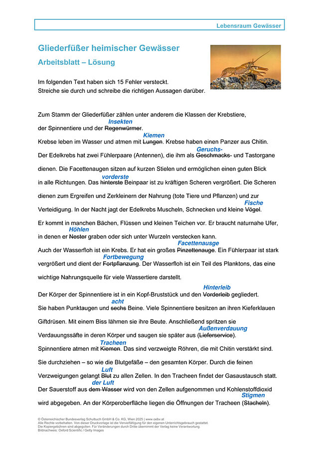 Gliederfüßer heimischer Gewässer
