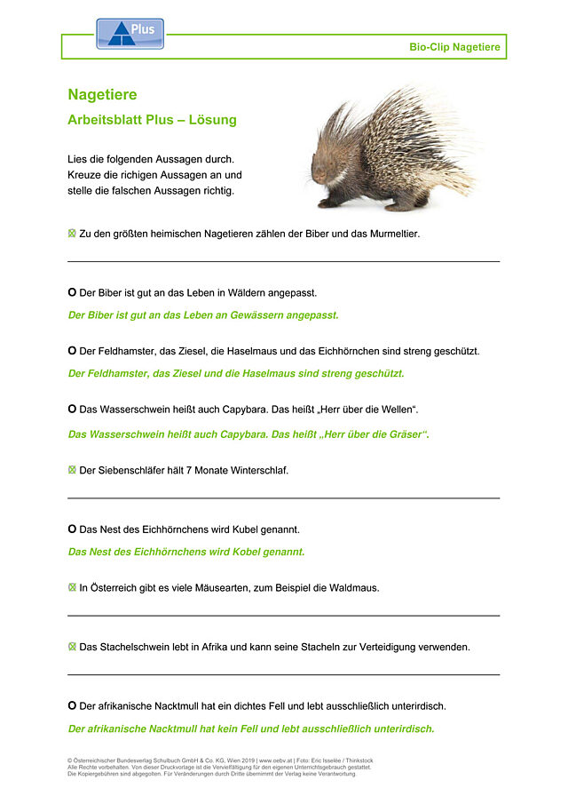 Nagetiere