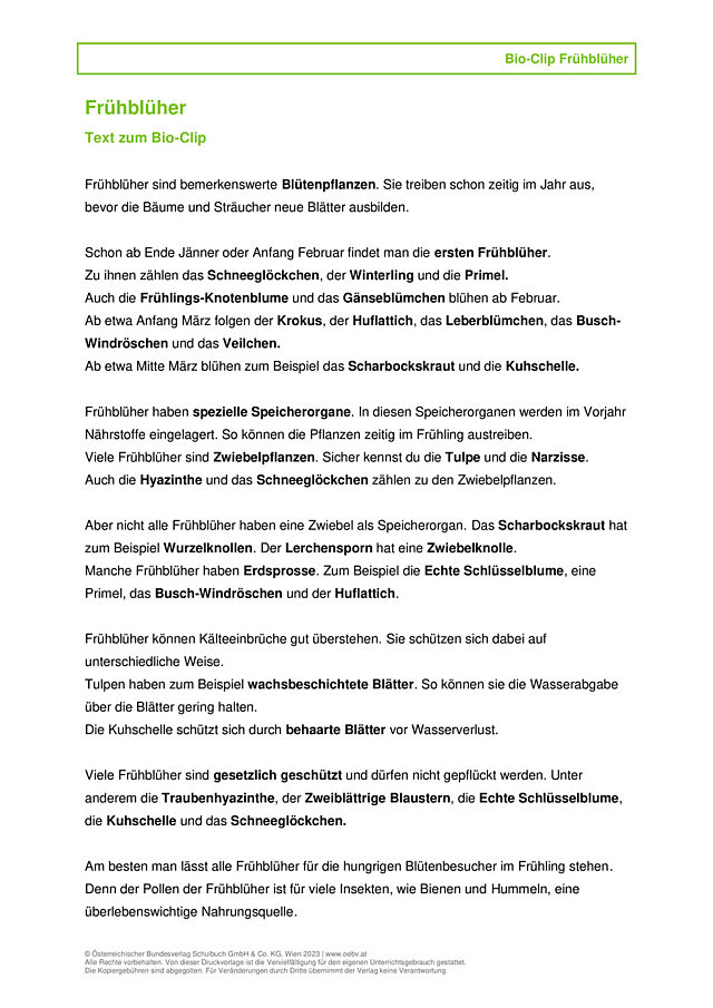 Frühblüher