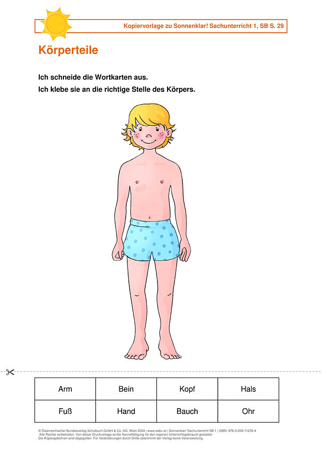 Körperteile