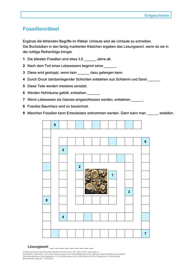 Fossilienrätsel