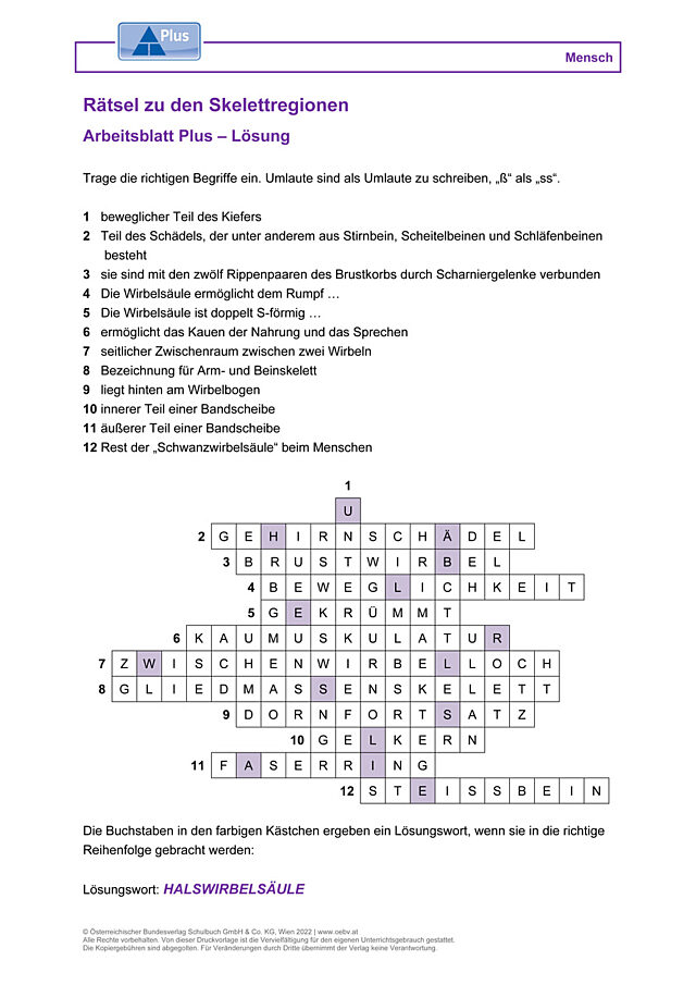 Rätsel zu den Skelettregionen