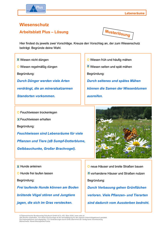 Wiesenschutz