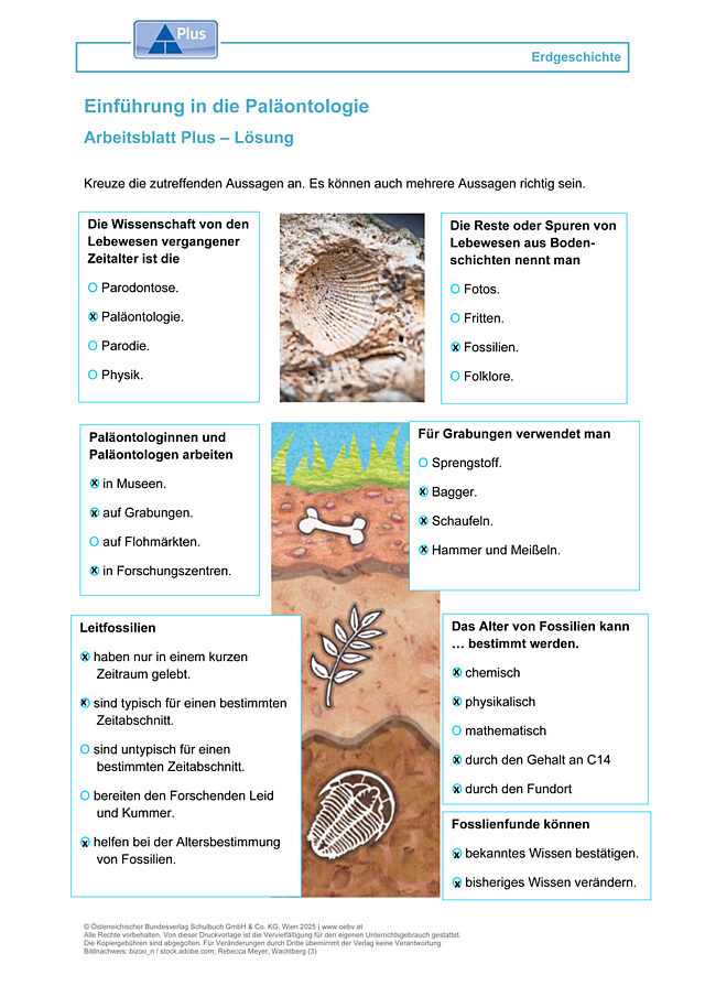 Einführung in die Paläontologie