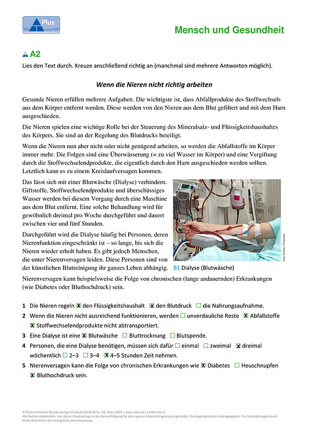 Ausscheidungssystem