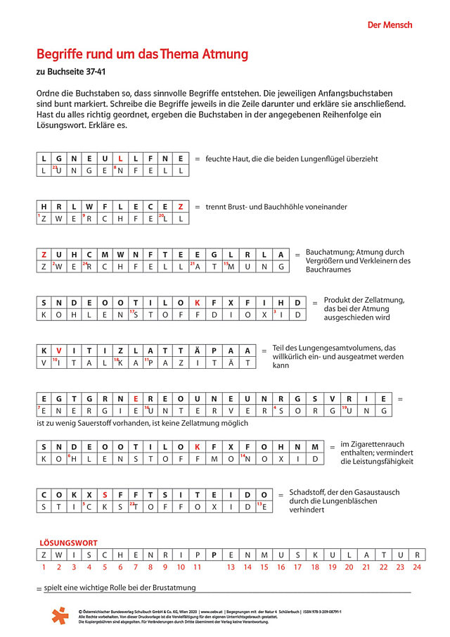 Begriffe rund um das Thema Atmung
