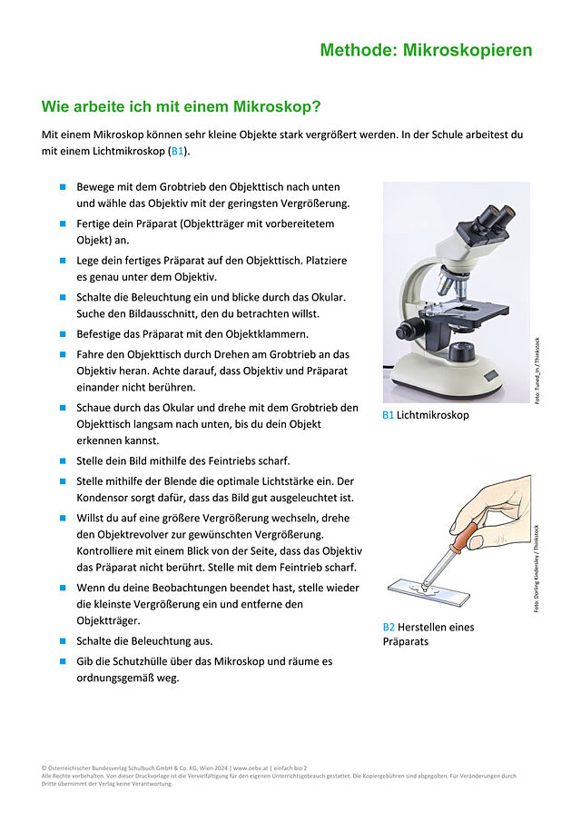 Methode: Mikroskop