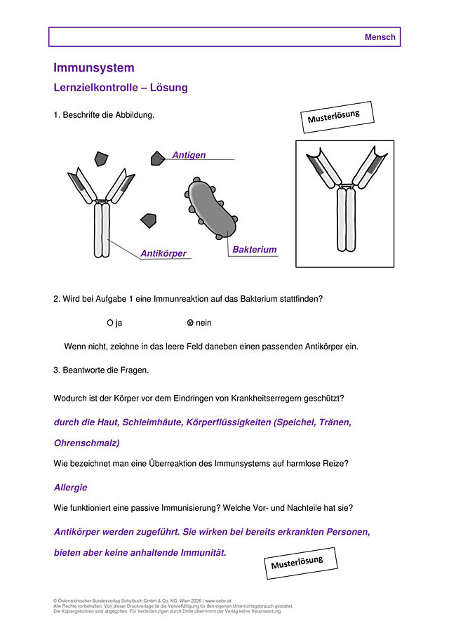 Immunsystem