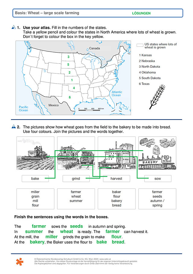 Wheat - large scale farming