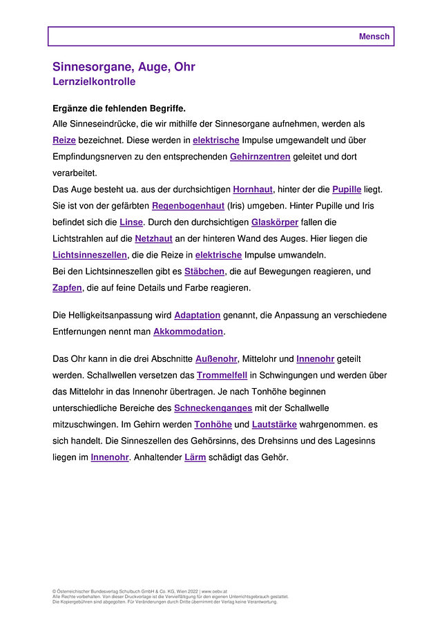 Sinnesorgane, Auge, Ohr