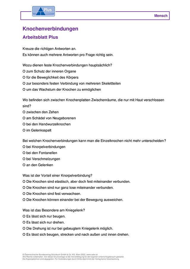 Knochenverbindungen