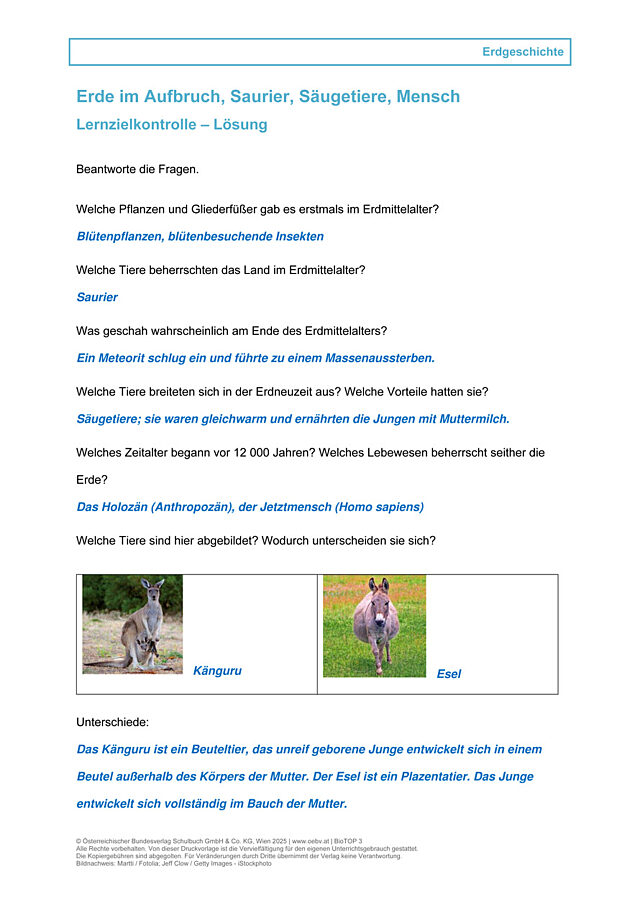 Erde im Aufbruch, Saurier, Säugetiere, Mensch