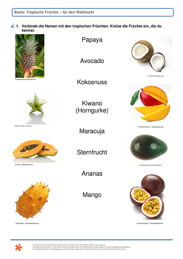 Tropische Früchte