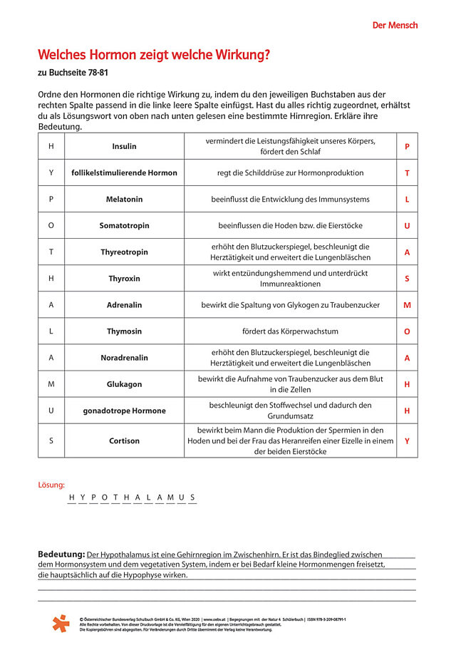 Welches Hormon zeigt welche Wirkung?