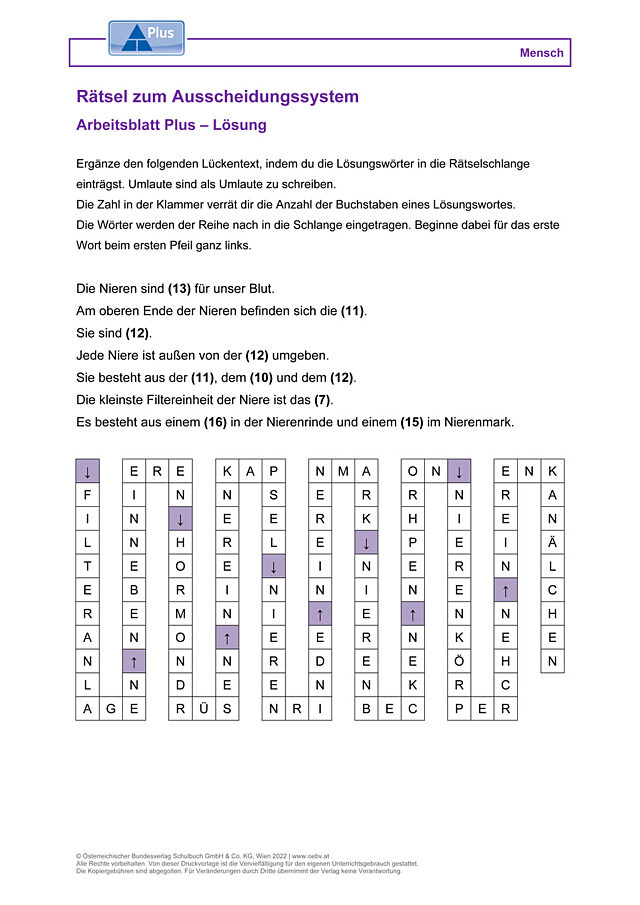 Rätsel zum Ausscheidungssystem