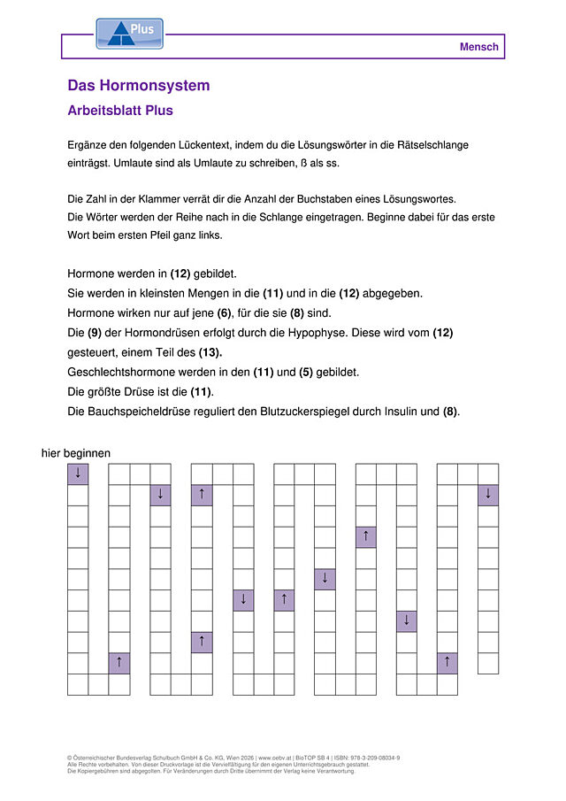 Das Hormonsystem