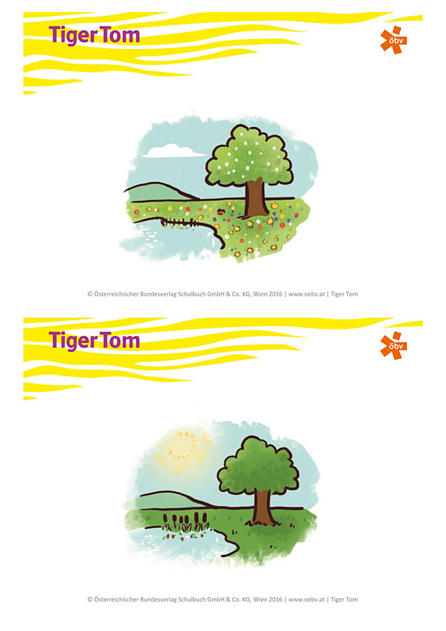 Tafelbilder 21 bis 24 (bunt)