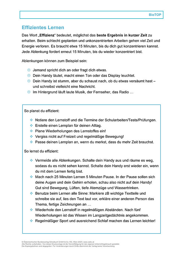 Effizientes Lernen