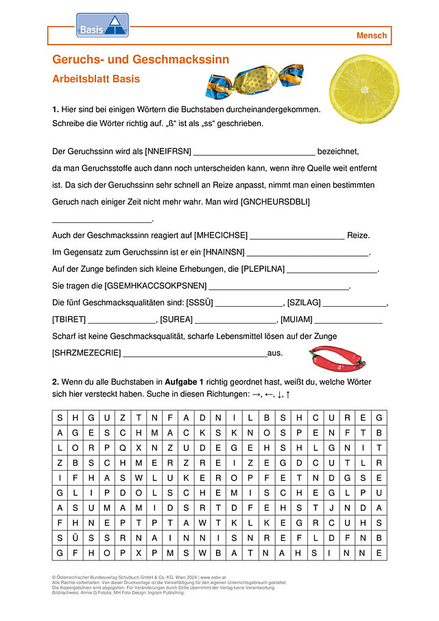 Geruchs- und Geschmackssinn